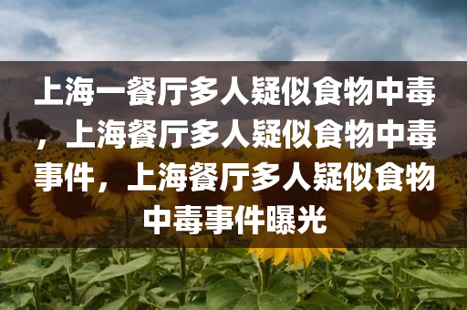 上海一餐厅多人疑似食物中毒，上海餐厅多人疑似食物中毒事件，上海餐厅多人疑似食物中毒事件曝光