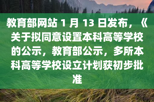 教育部网站 1 月 13 日发布，《关于拟同意设置本科高等学校的公示，教育部公示，多所本科高等学校设立计划获初步批准，教育部公示多所本科高等学校设立计划获初步批准，公示名单揭晓！
