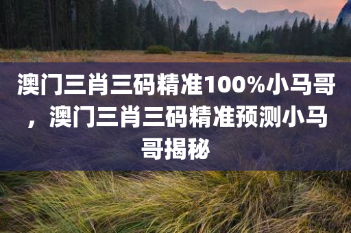 澳门三肖三码精准100%小马哥，澳门三肖三码精准预测小马哥揭秘，澳门三肖三码精准预测揭秘，小马哥独家揭秘预测系统