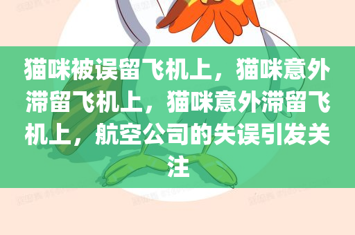 猫咪被误留飞机上，猫咪意外滞留飞机上，猫咪意外滞留飞机上，航空公司的失误引发关注
