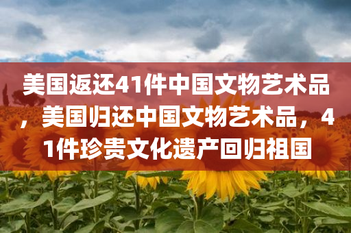美国返还41件中国文物艺术品，美国归还中国文物艺术品，41件珍贵文化遗产回归祖国，美国归还中国珍贵文化遗产，41件文物艺术品回归祖国