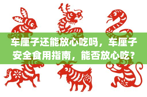 车厘子还能放心吃吗，车厘子安全食用指南，能否放心吃？