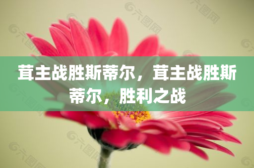 茸主战胜斯蒂尔，茸主战胜斯蒂尔，胜利之战