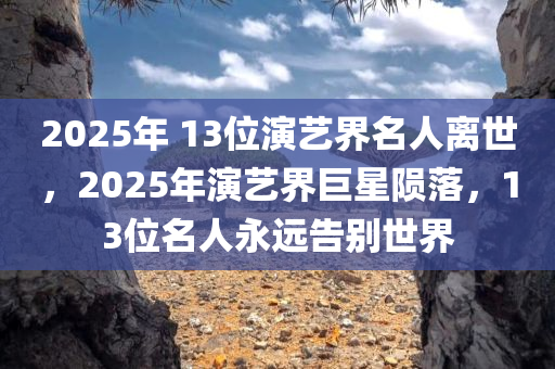 2025年 13位演艺界名人离世，2025年演艺界巨星陨落，13位名人永远告别世界