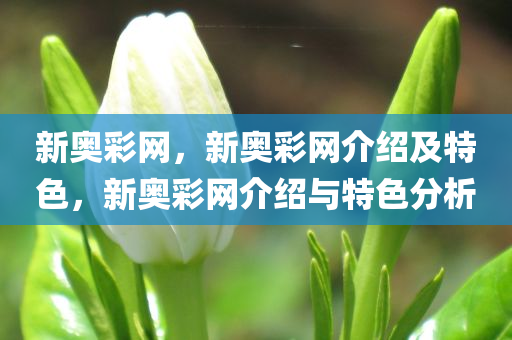 新奥彩网，新奥彩网介绍及特色，新奥彩网介绍与特色分析