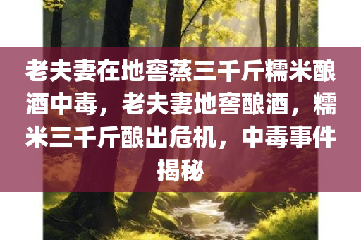 老夫妻在地窖蒸三千斤糯米酿酒中毒，老夫妻地窖酿酒，糯米三千斤酿出危机，中毒事件揭秘，老夫妻地窖酿酒酿出危机，三千斤糯米引发中毒事件揭秘