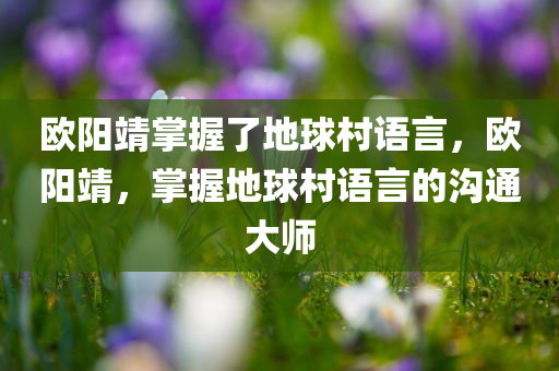 欧阳靖掌握了地球村语言，欧阳靖，掌握地球村语言的沟通大师