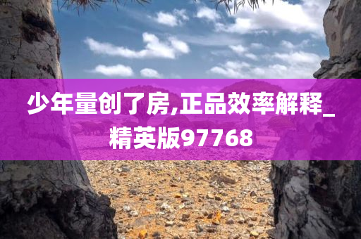 少年量创了房,正品效率解释_精英版97768