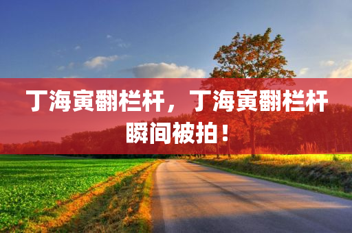 丁海寅翻栏杆，丁海寅翻栏杆瞬间被拍！，丁海寅翻栏杆瞬间被拍，惊现一幕！