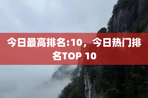 今日最高排名:10，今日热门排名TOP 10
