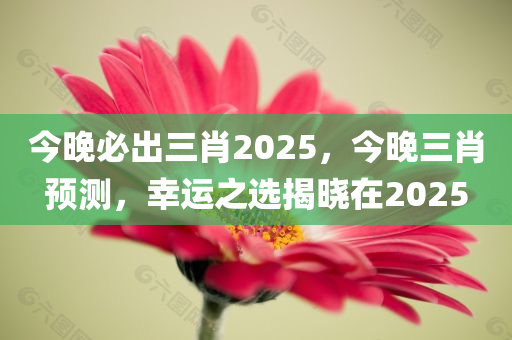 今晚必出三肖2025，今晚三肖预测，幸运之选揭晓在2025，揭秘2025今晚三肖预测，幸运之选揭晓之夜