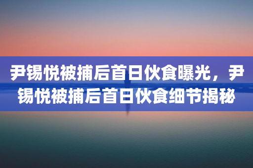 尹锡悦被捕后首日伙食曝光，尹锡悦被捕后首日伙食细节揭秘