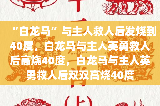 “白龙马”与主人救人后发烧到40度，白龙马与主人英勇救人后高烧40度，白龙马与主人英勇救人后双双高烧40度