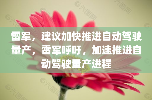 雷军，建议加快推进自动驾驶量产，雷军呼吁，加速推进自动驾驶量产进程，雷军呼吁加速推进自动驾驶量产进程