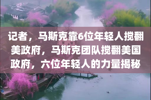 记者，马斯克靠6位年轻人搅翻美政府，马斯克团队搅翻美国政府，六位年轻人的力量揭秘
