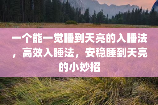 一个能一觉睡到天亮的入睡法，高效入睡法，安稳睡到天亮的小妙招，高效入睡法，安稳睡到天亮的小妙招
