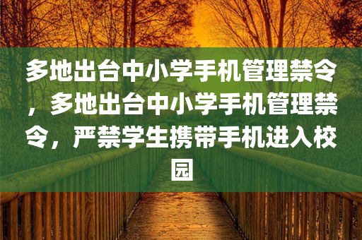 多地出台中小学手机管理禁令，多地出台中小学手机管理禁令，严禁学生携带手机进入校园