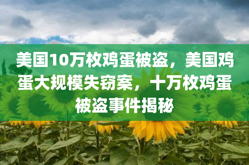 美国10万枚鸡蛋被盗，美国鸡蛋大规模失窃案，十万枚鸡蛋被盗事件揭秘