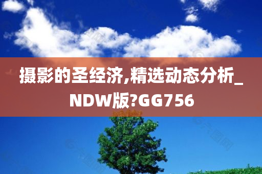 摄影的圣经济,精选动态分析_NDW版?GG756