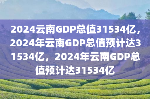2024云南GDP总值31534亿，2024年云南GDP总值预计达31534亿，2024年云南GDP总值预计达31534亿