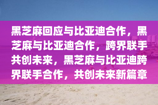 黑芝麻回应与比亚迪合作，黑芝麻与比亚迪合作，跨界联手共创未来，黑芝麻与比亚迪跨界联手合作，共创未来新篇章