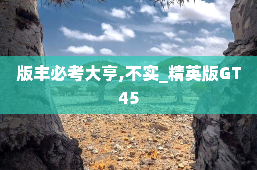 版丰必考大亨,不实_精英版GT45