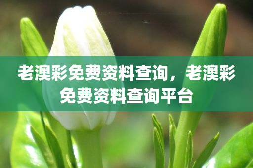 老澳彩免费资料查询，老澳彩免费资料查询平台，老澳彩免费资料查询平台，轻松获取最新资料