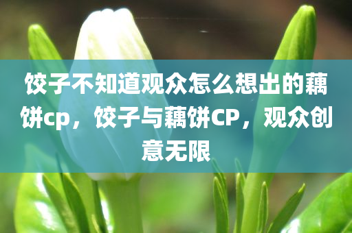 饺子不知道观众怎么想出的藕饼cp，饺子与藕饼CP，观众创意无限，观众创意无限，饺子与藕饼CP的奇妙缘分