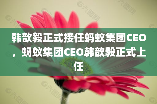 韩歆毅正式接任蚂蚁集团CEO，蚂蚁集团CEO韩歆毅正式上任，韩歆毅正式接任蚂蚁集团CEO，新任CEO上任，蚂蚁集团的未来展望