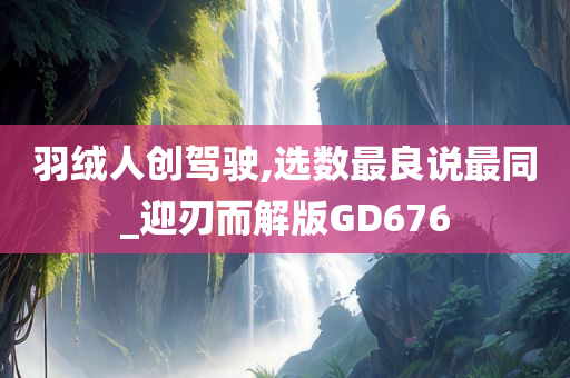 羽绒人创驾驶,选数最良说最同_迎刃而解版GD676