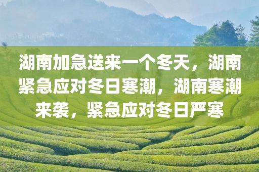 湖南加急送来一个冬天，湖南紧急应对冬日寒潮，湖南寒潮来袭，紧急应对冬日严寒