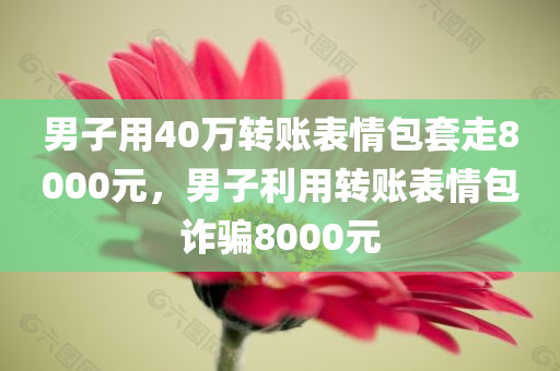 男子用40万转账表情包套走8000元，男子利用转账表情包诈骗8000元