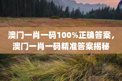 澳门一肖一码100%正确答案，澳门一肖一码精准答案揭秘，澳门一肖一码揭秘，100%精准答案揭秘