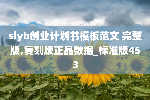 siyb创业计划书模板范文 完整版,复刻版正品数据_标准版453