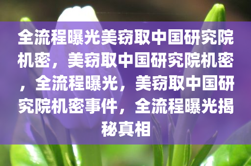 全流程曝光美窃取中国研究院机密，美窃取中国研究院机密，全流程曝光，美窃取中国研究院机密事件，全流程曝光揭秘真相