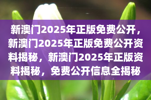 新澳门2025年正版免费公开，新澳门2025年正版免费公开资料揭秘，新澳门2025年正版资料揭秘，免费公开信息全揭秘