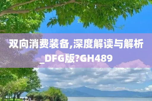 双向消费装备,深度解读与解析_DFG版?GH489