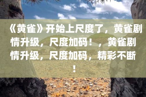 《黄雀》开始上尺度了，黄雀剧情升级，尺度加码！，黄雀剧情升级，尺度加码，精彩不断！