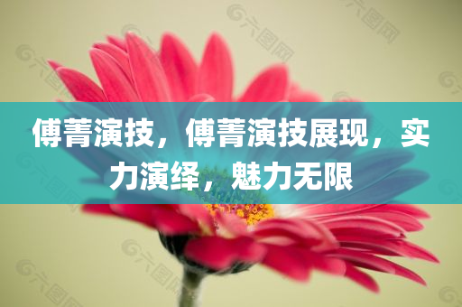 傅菁演技，傅菁演技展现，实力演绎，魅力无限，傅菁演技展现，实力演绎魅力无限