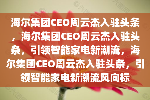 海尔集团CEO周云杰入驻头条，海尔集团CEO周云杰入驻头条，引领智能家电新潮流，海尔集团CEO周云杰入驻头条，引领智能家电新潮流风向标