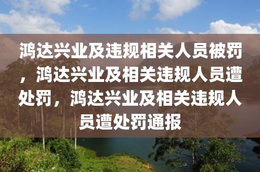 鸿达兴业及违规相关人员被罚，鸿达兴业及相关违规人员遭处罚，鸿达兴业及相关违规人员遭处罚通报