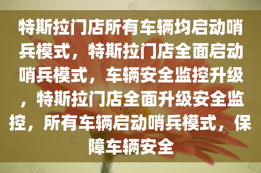 特斯拉门店所有车辆均启动哨兵模式，特斯拉门店全面启动哨兵模式，车辆安全监控升级，特斯拉门店全面升级安全监控，所有车辆启动哨兵模式，保障车辆安全