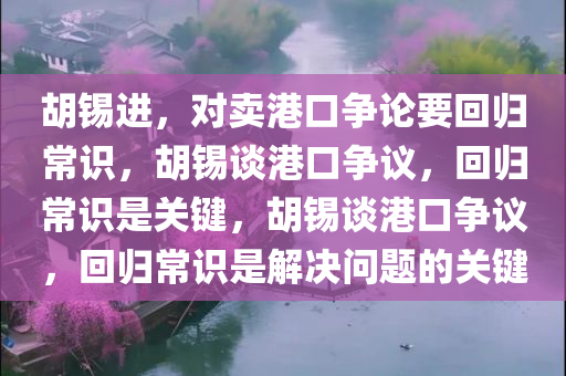 胡锡进，对卖港口争论要回归常识，胡锡谈港口争议，回归常识是关键，胡锡谈港口争议，回归常识是解决问题的关键