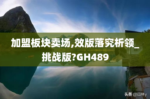 加盟板块卖场,效版落究析领_挑战版?GH489