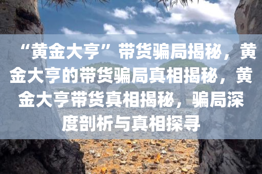 “黄金大亨”带货骗局揭秘，黄金大亨的带货骗局真相揭秘，黄金大亨带货真相揭秘，骗局深度剖析与真相探寻