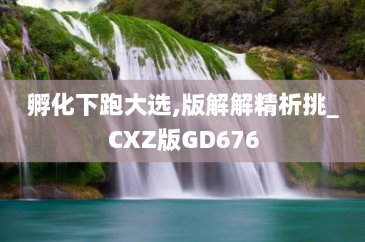 孵化下跑大选,版解解精析挑_CXZ版GD676