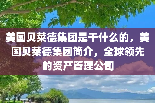 美国贝莱德集团是干什么的，美国贝莱德集团简介，全球领先的资产管理公司，美国贝莱德集团，全球领先的资产管理公司简介