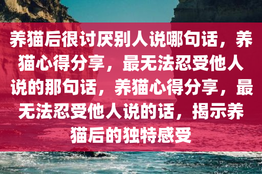 养猫后很讨厌别人说哪句话，养猫心得分享，最无法忍受他人说的那句话，养猫心得分享，最无法忍受他人说的话，揭示养猫后的独特感受