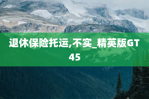 退休保险托运,不实_精英版GT45