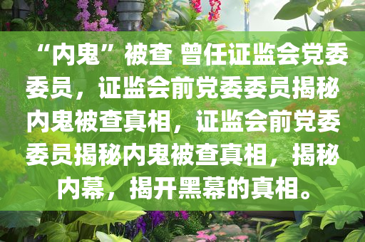 “内鬼”被查 曾任证监会党委委员，证监会前党委委员揭秘内鬼被查真相，证监会前党委委员揭秘内鬼被查真相，揭秘内幕，揭开黑幕的真相。